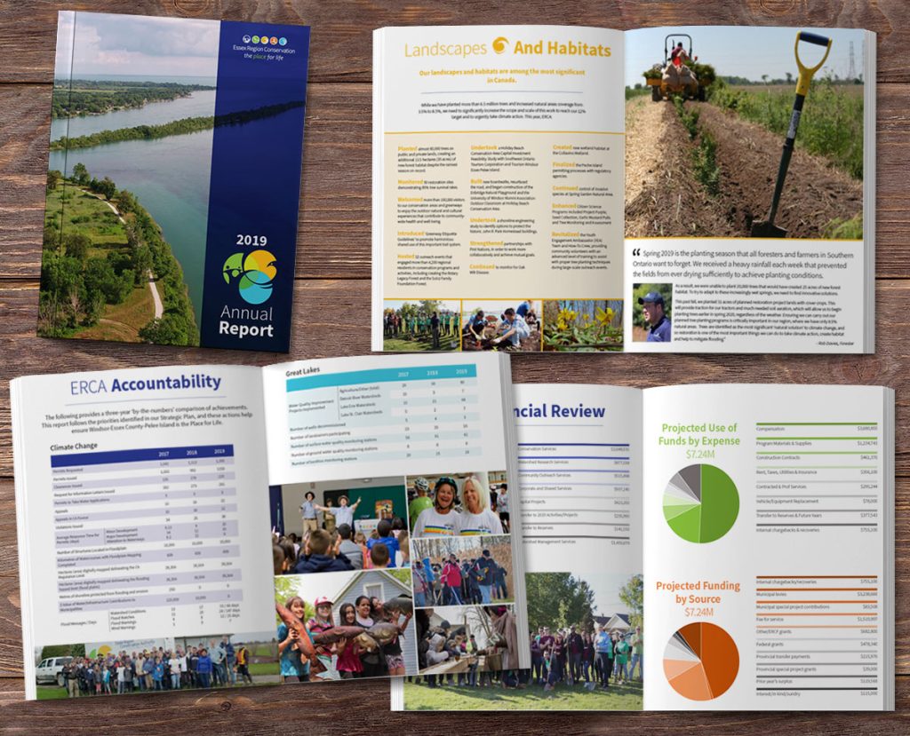 ERCA Annual Report design